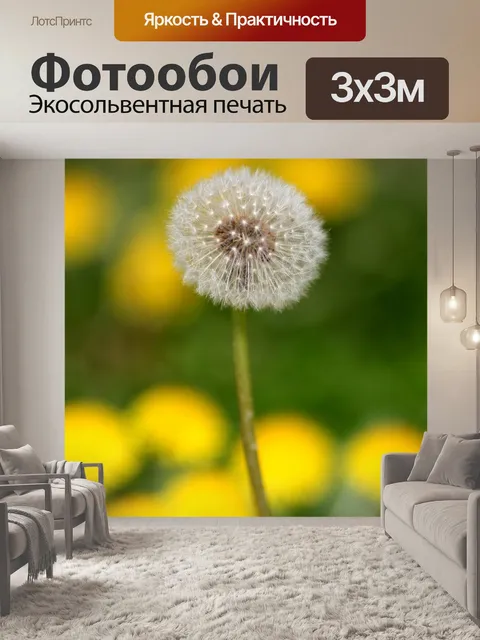 Фотообои Одуванчик