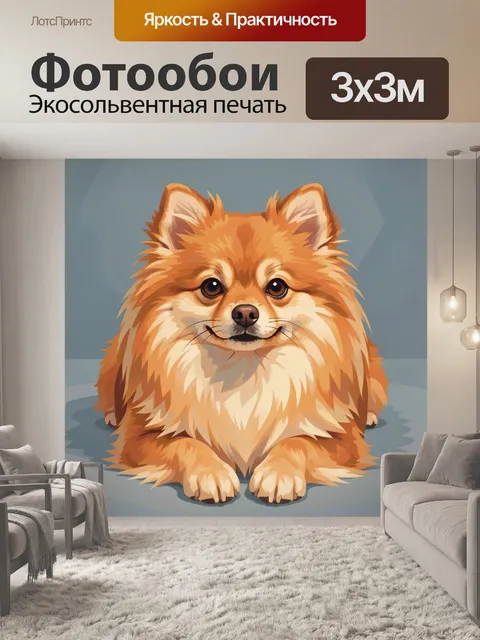 Фотообои Милый пушистый шпиц