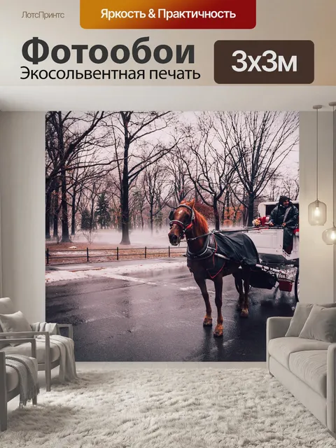 Фотообои Центральный парк