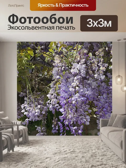 Фотообои Стена глицинии