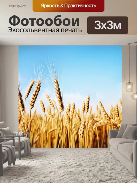 Фотообои тихое утро на пшеничном поле