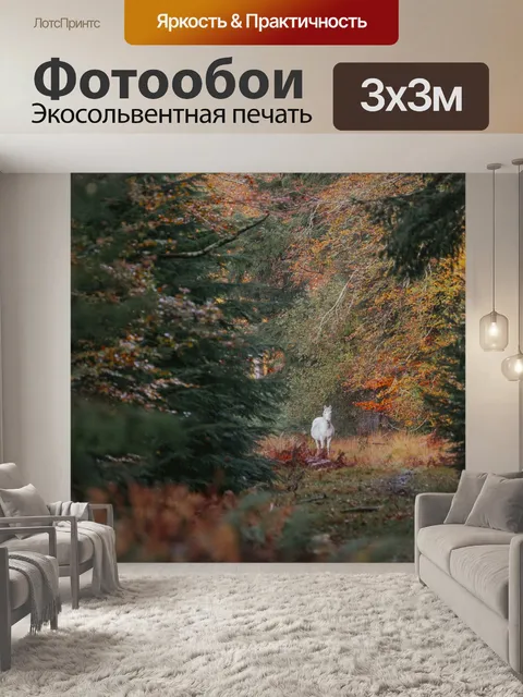 Фотообои Лошадь