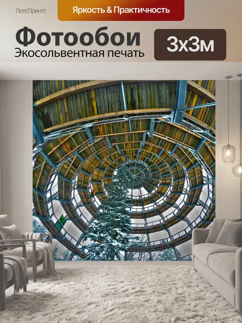Фотообои Тропинка на верхушках деревьев