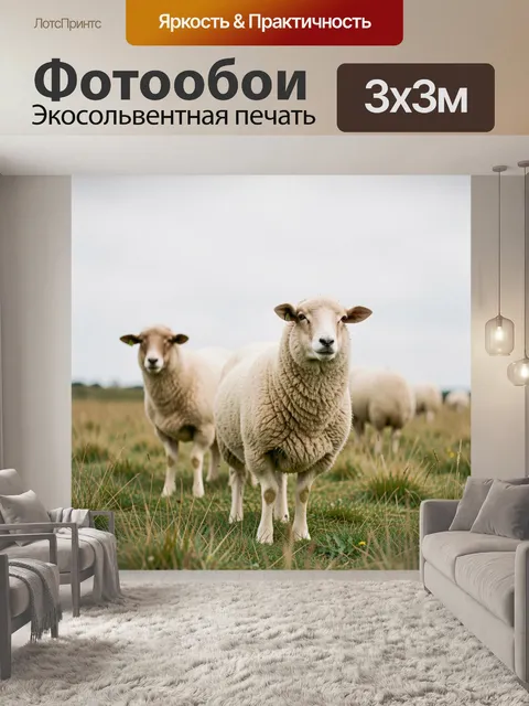 Фотообои Овцы на зеленом пастбище