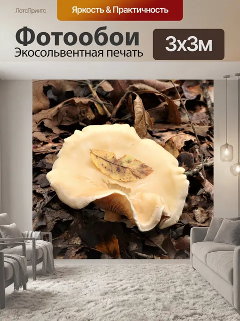 Фотообои Белый гриб Холдинг Осенний лист
