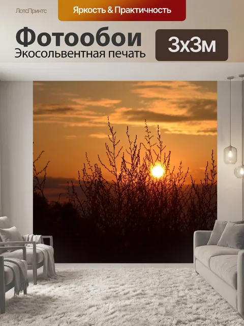 Фотообои Закат сквозь ветви