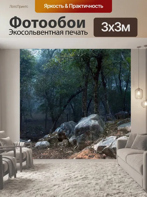 Фотообои Туманный лес 2