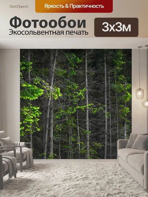 Фотообои Лес