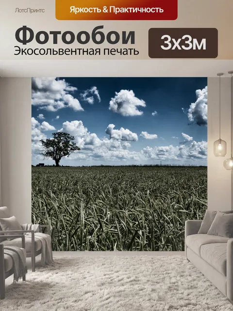 Фотообои Частично облачно и поле