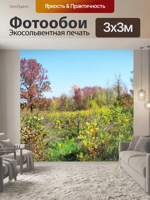 Фотообои Осеннее поле