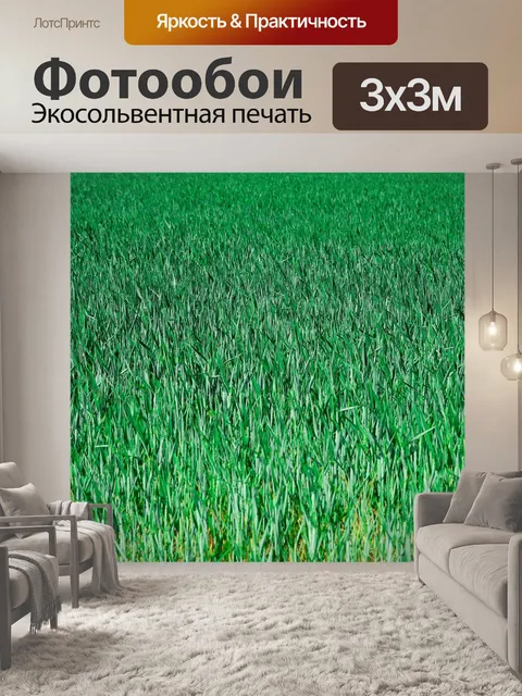 Фотообои Зерно