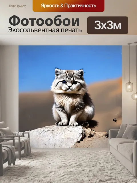 Фотообои манул, величественно сидящий на светлом камне, его выразительные глаза отражают ясное весеннее небо монголии