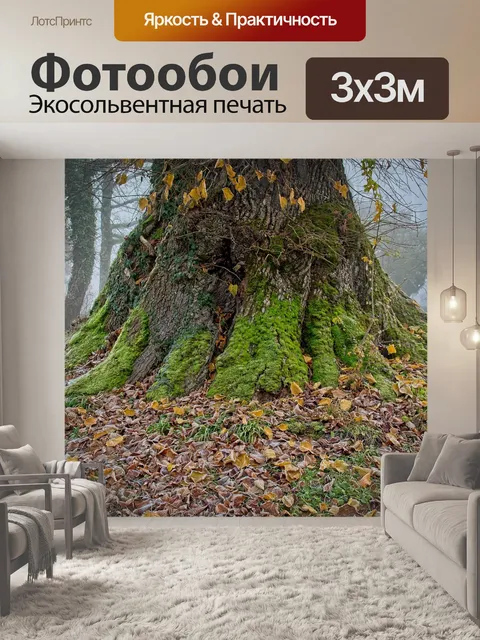 Фотообои Корень дерева