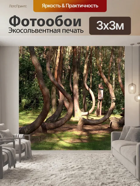 Фотообои Кривый лес