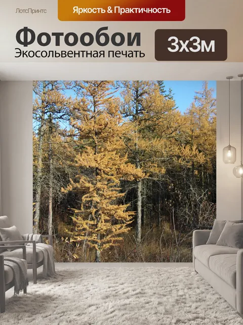 Фотообои Золотое дерево Тамарака