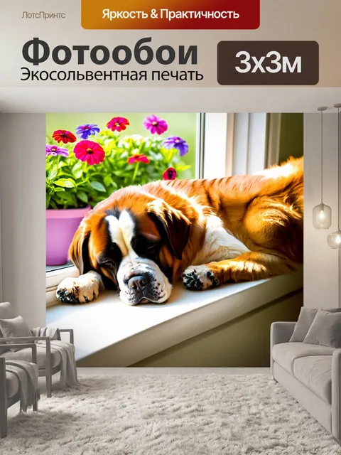 Фотообои изображение сен-бернара, мирно спящего на подоконнике, с яркими цветами в горшках на фоне
