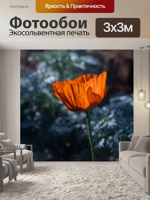 Фотообои Мак цветок, винтаж цвет