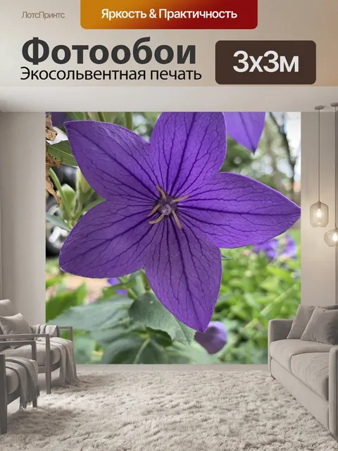Фотообои Фиолетовый