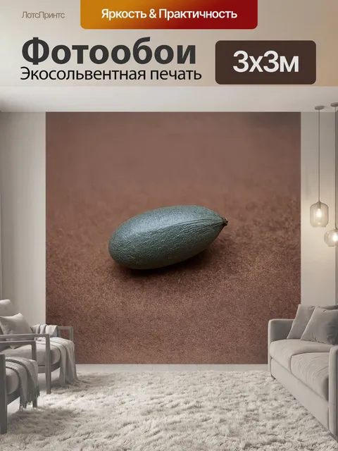 Фотообои стручок сенны, александрийская сенна, раскрытый плод сенны в технике сухой кисти, с жёсткими мазками и…