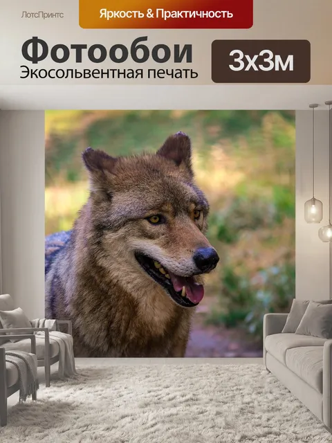 Фотообои Волк