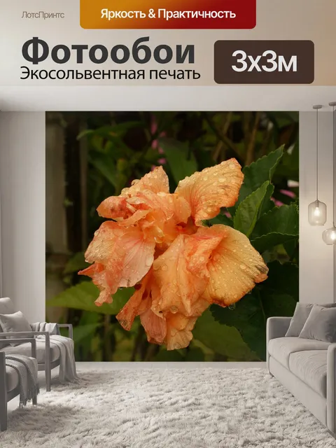 Фотообои Картинки