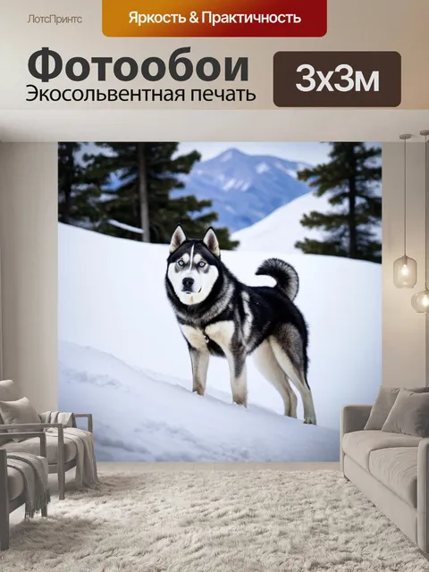 Фотообои хаски, исследующий заснеженные горы