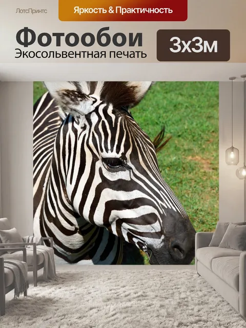 Фотообои Зебра в заповеднике