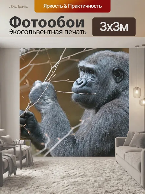 Фотообои Животные