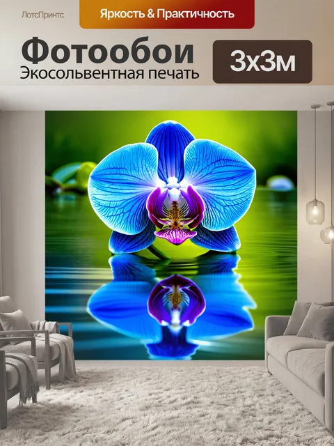 Фотообои представь себе нежную орхидею