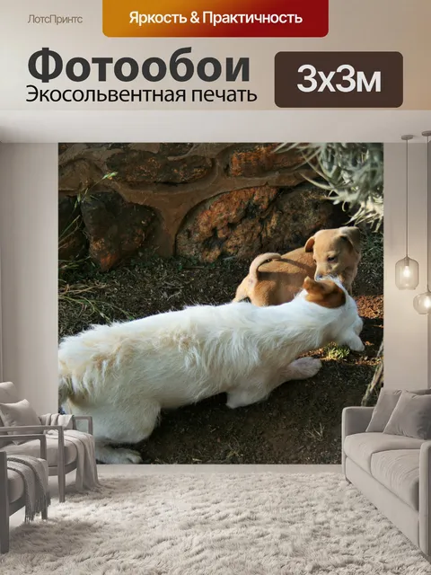 Фотообои Парсонс джек-рассел и щенок
