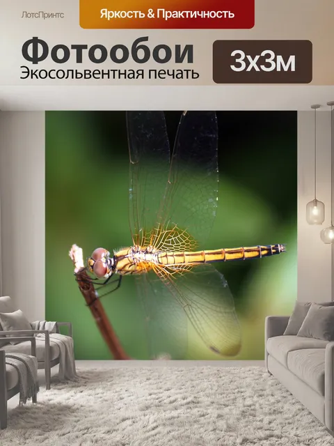 Фотообои розовый и желтый стрекоза летает