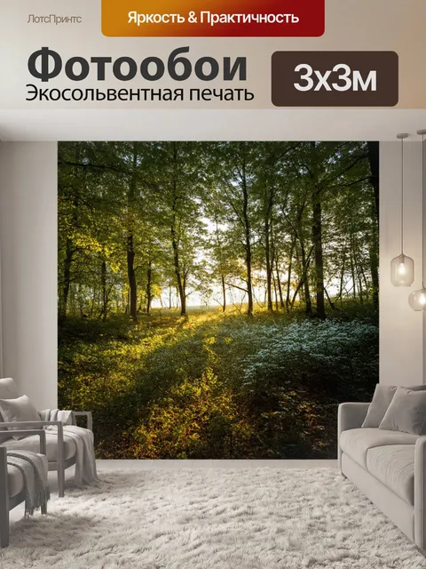 Фотообои линия горизонта, видимая через густой лес, где света пробиваются пушистые листья, создавая игру теней