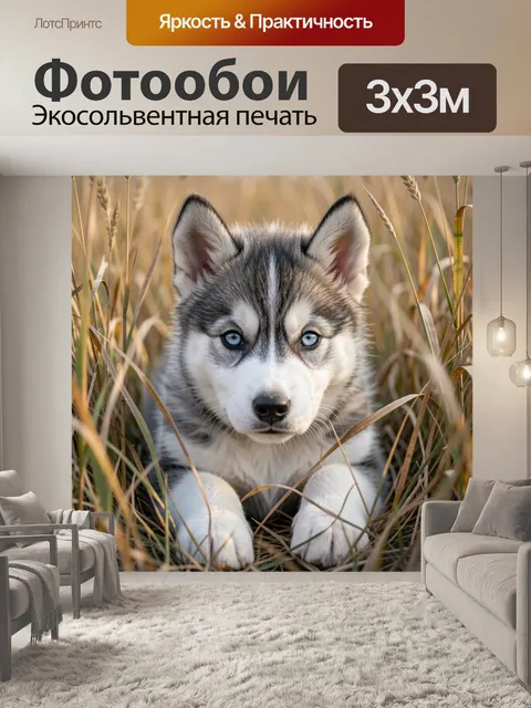 Фотообои Щенок хаски в траве