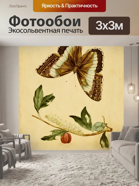 Фотообои Бабочка Гусеница Винтаж Искусство