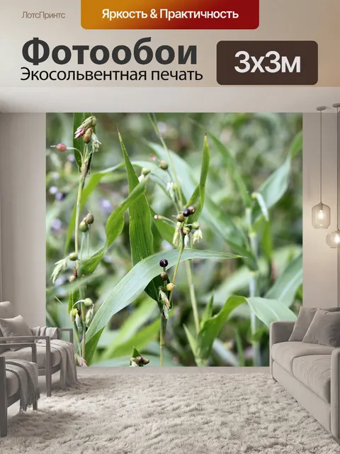 Фотообои хлебозавода с фруктами