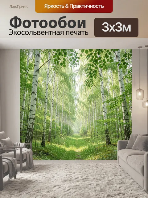 Фотообои Березовая аллея в летнем лесу