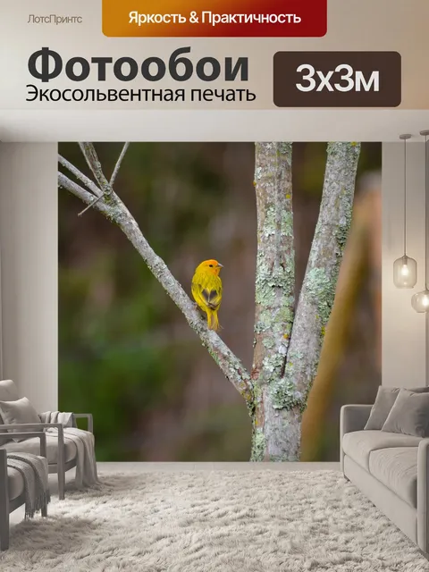 Фотообои Птица