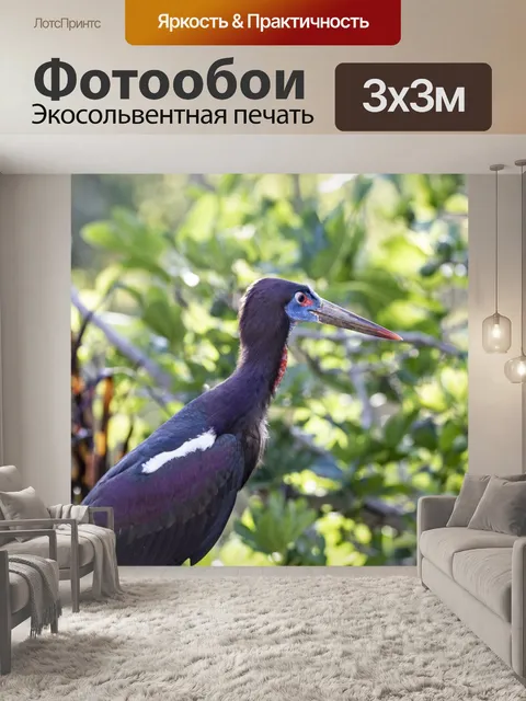 Фотообои Аист Абдима,