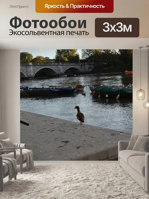 Фотообои Птицы