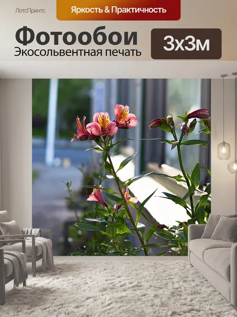 Фотообои Цветок