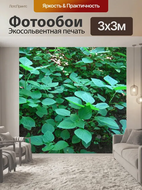 Фотообои липа лист шалфей растет в дикой природе