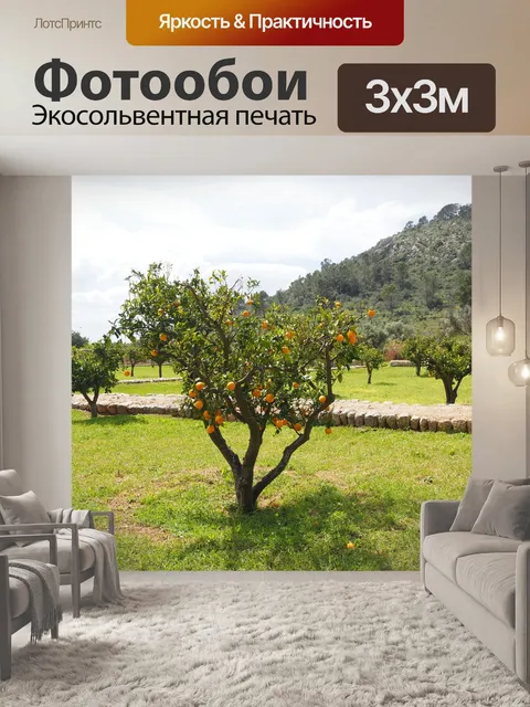 Фотообои Апельсиновое дерево