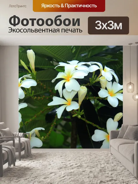 Фотообои Kalachuchi цветок