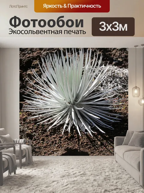 Фотообои Нежный серебряный меч Халеакаа