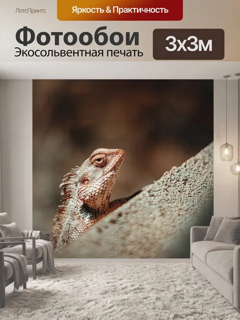 Фотообои Хамелеон