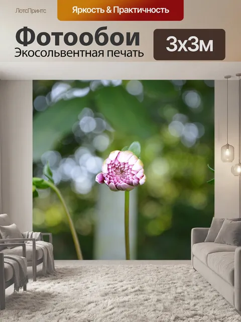 Фотообои Цветочный бутон