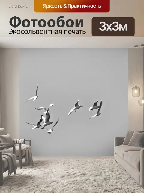 Фотообои Черно-белые чайки летают