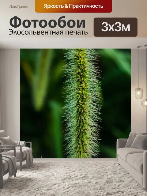 Фотообои Цветок