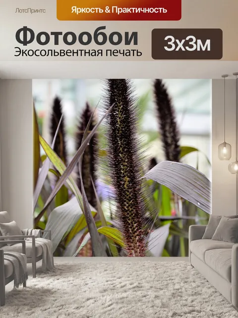Фотообои Голландские цветы в садах 56
