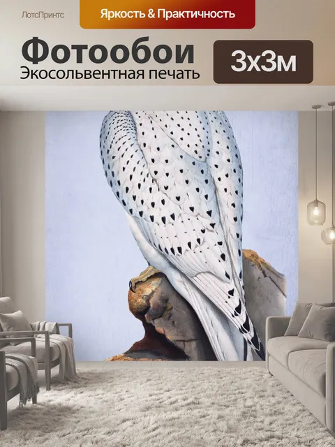 Фотообои Плакат винтажного искусства хищной птицы